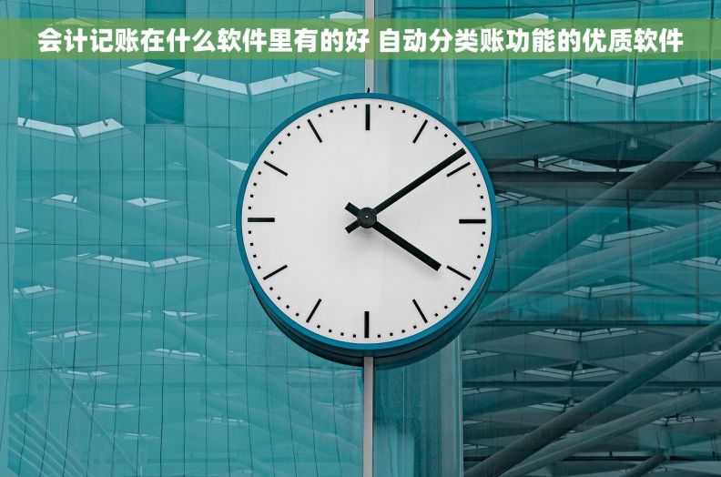 会计记账在什么软件里有的好 自动分类账功能的优质软件