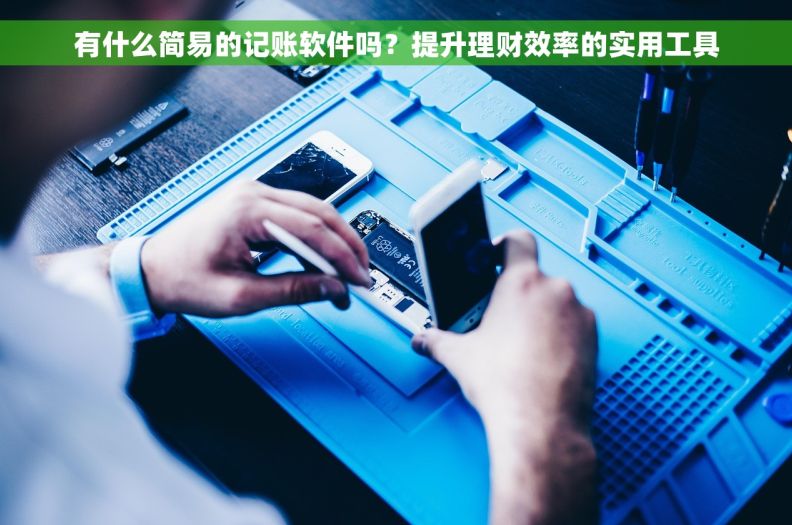 有什么简易的记账软件吗?提升理财效率的实用工具 有什么简易的记账软件吗?提升理财效率的实用工具
