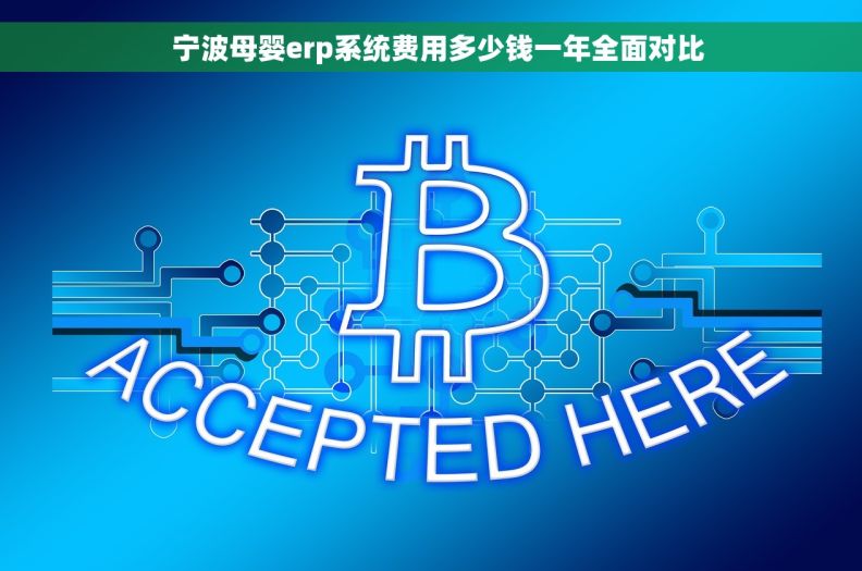   宁波母婴erp系统费用多少钱一年全面对比