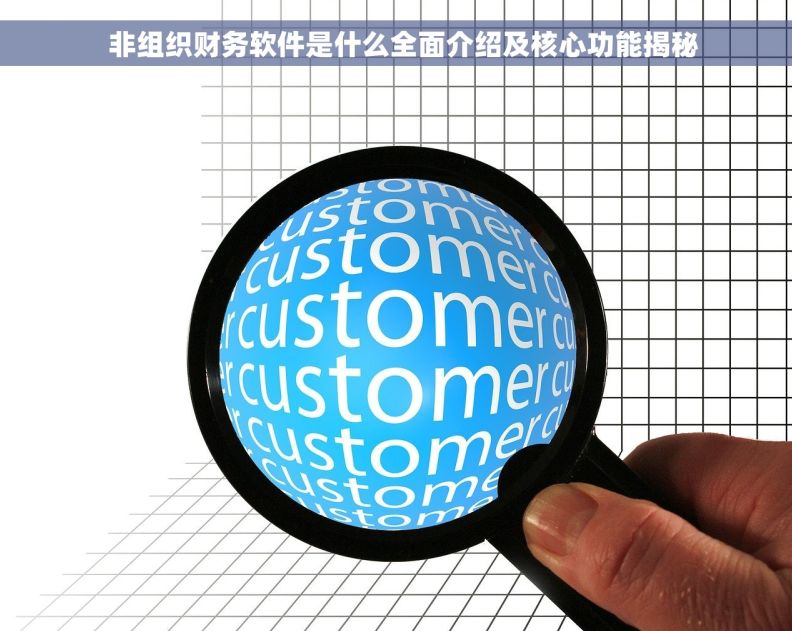   非组织财务软件是什么全面介绍及核心功能揭秘