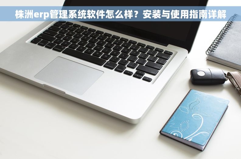 株洲erp管理系统软件怎么样？安装与使用指南详解