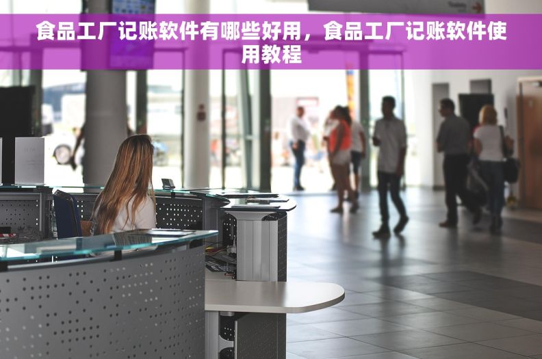 食品工厂记账软件有哪些好用，食品工厂记账软件使用教程