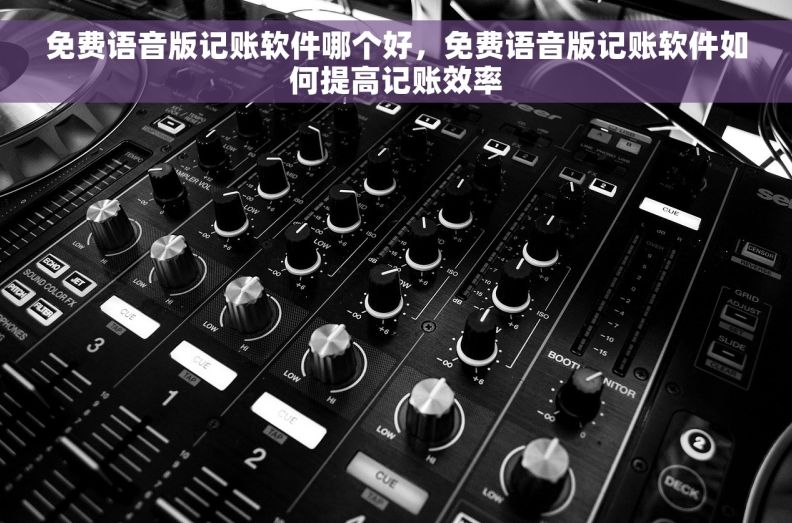 免费语音版记账软件哪个好，免费语音版记账软件如何提高记账效率