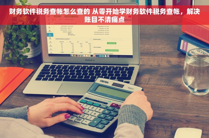 财务软件税务查帐怎么查的 从零开始学财务软件税务查帐，解决账目不清痛点