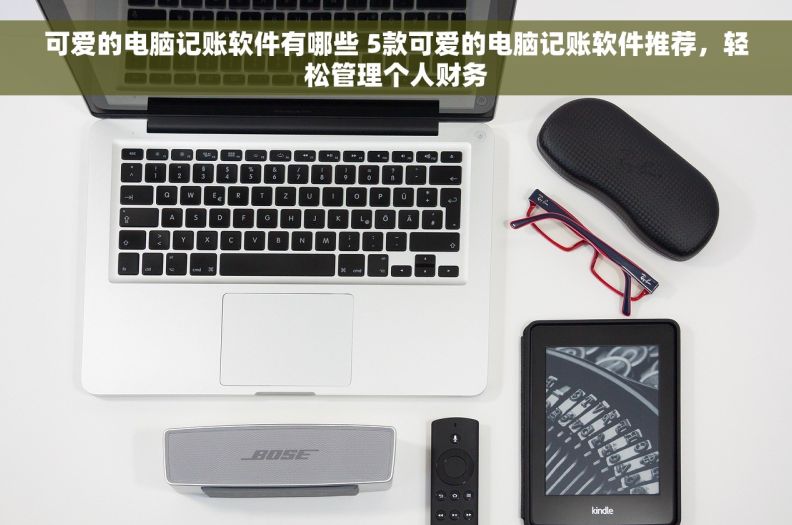 可爱的电脑记账软件有哪些 5款可爱的电脑记账软件推荐，轻松管理个人财务