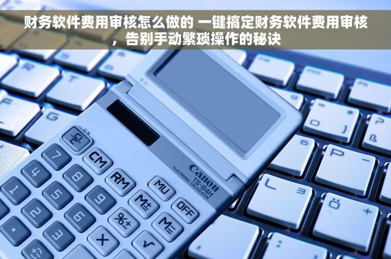 财务软件费用审核怎么做的 一键搞定财务软件费用审核，告别手动繁琐操作的秘诀