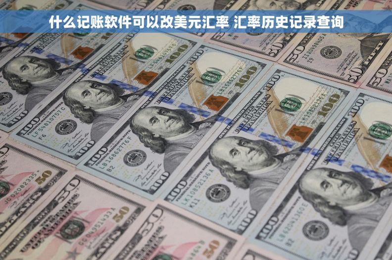 什么记账软件可以改美元汇率 汇率历史记录查询