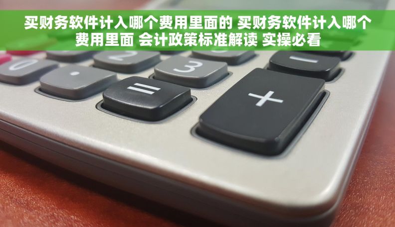 买财务软件计入哪个费用里面的 买财务软件计入哪个费用里面 会计政策标准解读 实操必看