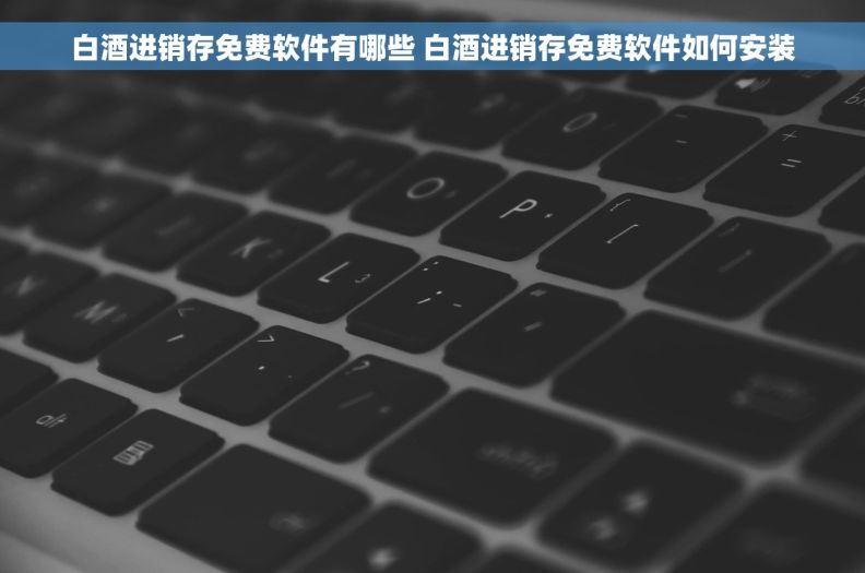 白酒进销存免费软件有哪些 白酒进销存免费软件如何安装