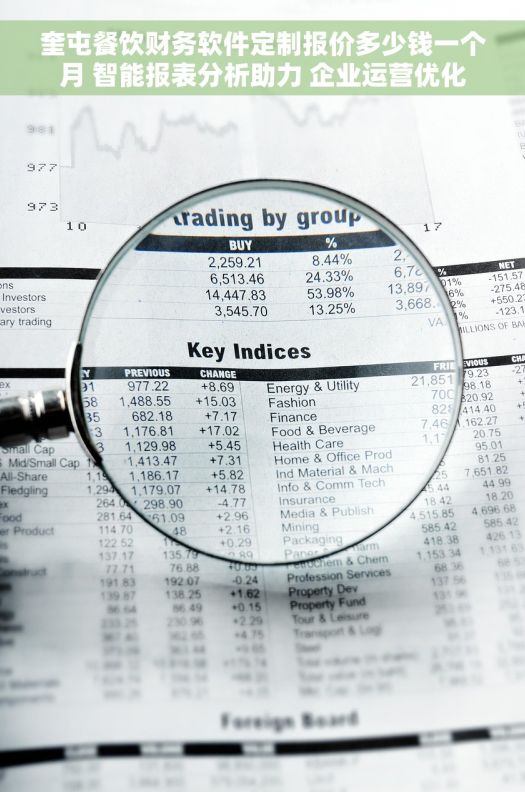 奎屯餐饮财务软件定制报价多少钱一个月 智能报表分析助力 企业运营优化 奎屯餐饮财务软件定制报价多少钱一个月 智能报表分析助力 企业运营优化