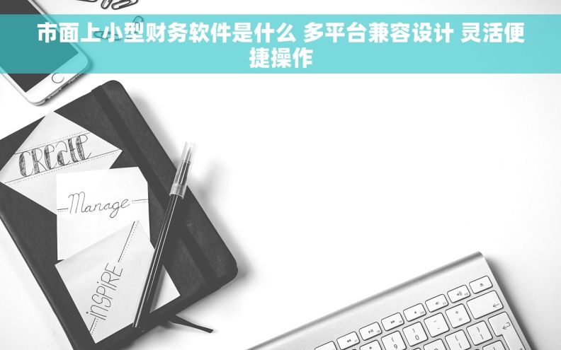 市面上小型财务软件是什么 多平台兼容设计 灵活便捷操作