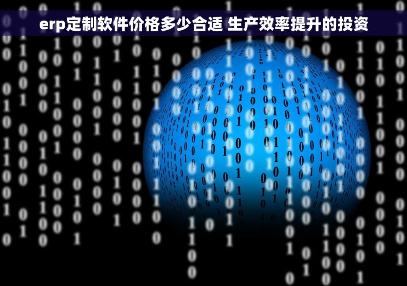erp定制软件价格多少合适 生产效率提升的投资