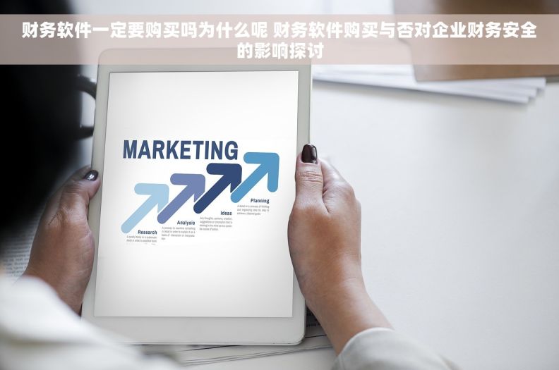 财务软件一定要购买吗为什么呢 财务软件购买与否对企业财务安全的影响探讨