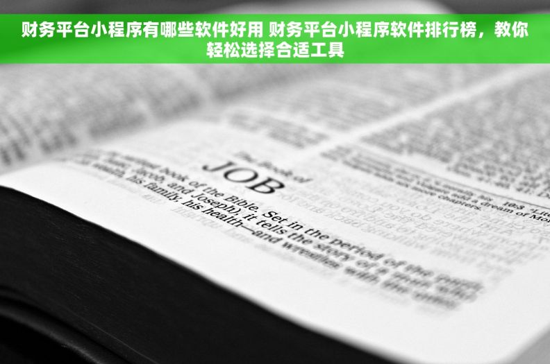 财务平台小程序有哪些软件好用 财务平台小程序软件排行榜，教你轻松选择合适工具