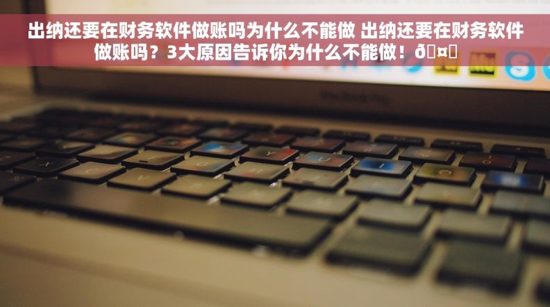 出纳还要在财务软件做账吗为什么不能做 出纳还要在财务软件做账吗？3大原因告诉你为什么不能做！🤔