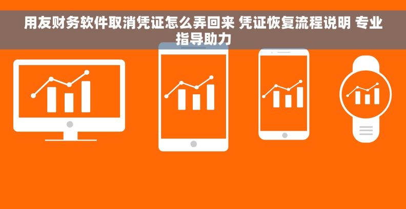 用友财务软件取消凭证怎么弄回来 凭证恢复流程说明 专业指导助力