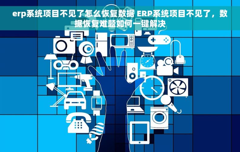 erp系统项目不见了怎么恢复数据 ERP系统项目不见了，数据恢复难题如何一键解决