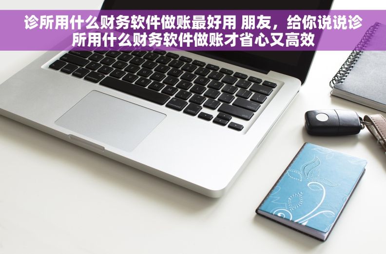 诊所用什么财务软件做账最好用 朋友，给你说说诊所用什么财务软件做账才省心又高效