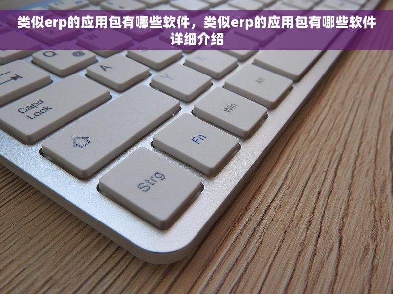 类似erp的应用包有哪些软件，类似erp的应用包有哪些软件详细介绍