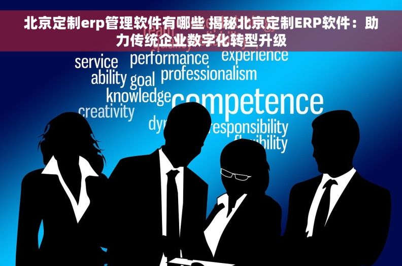 北京定制erp管理软件有哪些 揭秘北京定制ERP软件：助力传统企业数字化转型升级