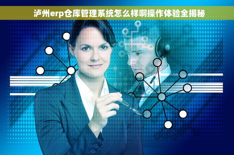   泸州erp仓库管理系统怎么样啊操作体验全揭秘