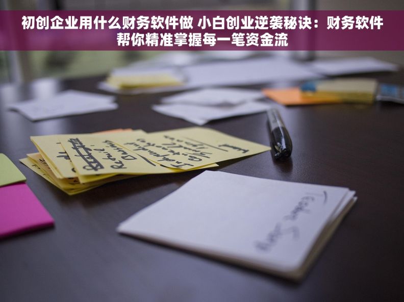 初创企业用什么财务软件做 小白创业逆袭秘诀：财务软件帮你精准掌握每一笔资金流