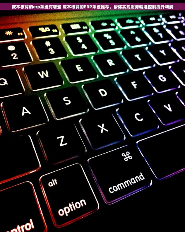 成本核算的erp系统有哪些 成本核算的ERP系统推荐,帮你实现财务精准控制提升利润 成本核算的erp系统有哪些 成本核算的ERP系统推荐,帮你实现财务精准控制提升利润