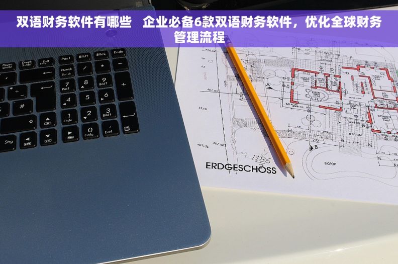 双语财务软件有哪些   企业必备6款双语财务软件，优化全球财务管理流程