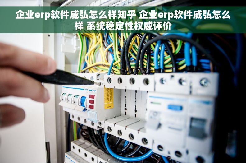 企业erp软件威弘怎么样知乎 企业erp软件威弘怎么样 系统稳定性权威评价