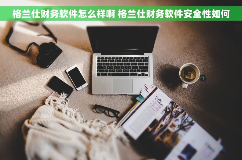 格兰仕财务软件怎么样啊 格兰仕财务软件安全性如何