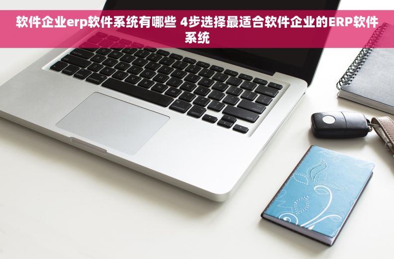软件企业erp软件系统有哪些 4步选择最适合软件企业的ERP软件系统 软件企业erp软件系统有哪些 4步选择最适合软件企业的ERP软件系统