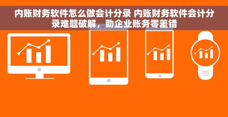 内账财务软件怎么做会计分录 内账财务软件会计分录难题破解，助企业账务零差错