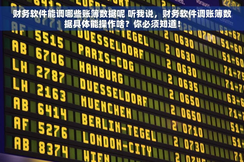 财务软件能调哪些账簿数据呢 听我说，财务软件调账簿数据具体能操作啥？你必须知道！
