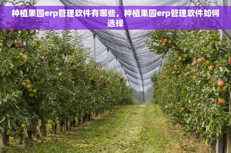 种植果园erp管理软件有哪些，种植果园erp管理软件如何选择
