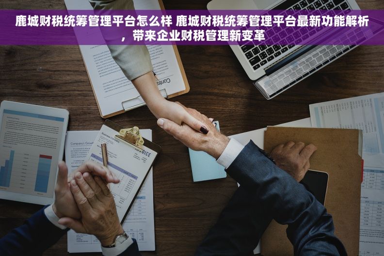 鹿城财税统筹管理平台怎么样 鹿城财税统筹管理平台最新功能解析，带来企业财税管理新变革