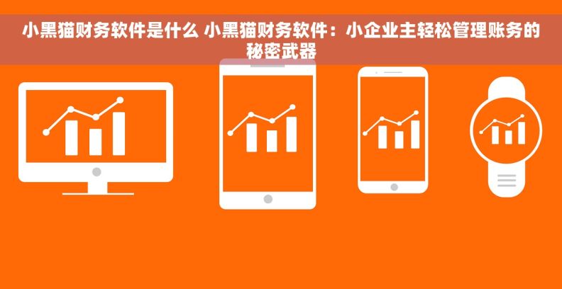 小黑猫财务软件是什么 小黑猫财务软件：小企业主轻松管理账务的秘密武器