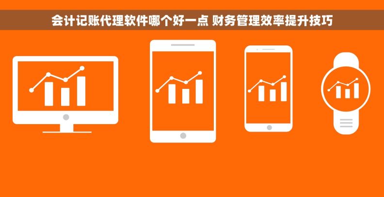 会计记账代理软件哪个好一点 财务管理效率提升技巧