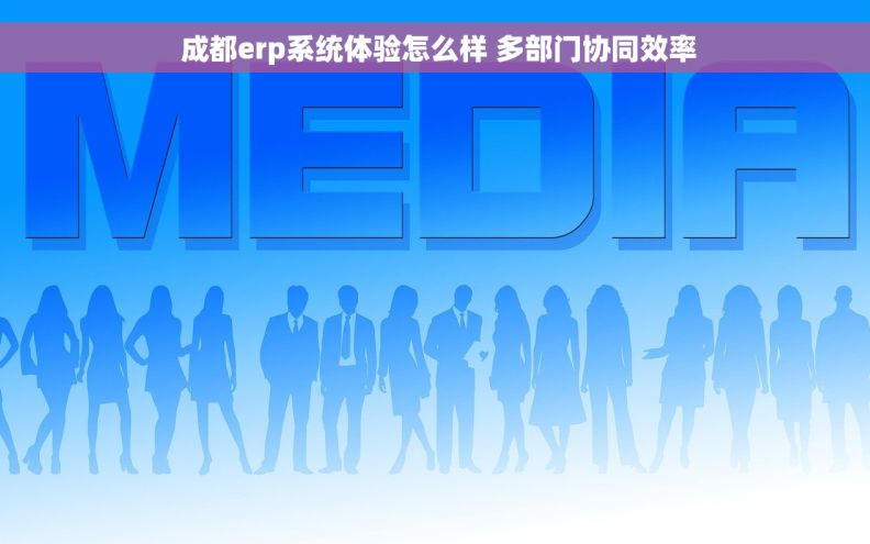  成都erp系统体验怎么样 多部门协同效率