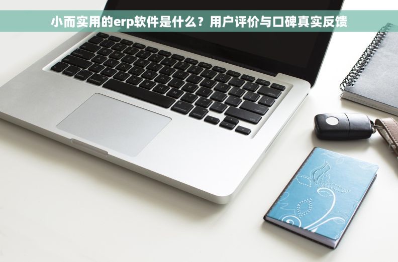 小而实用的erp软件是什么？用户评价与口碑真实反馈