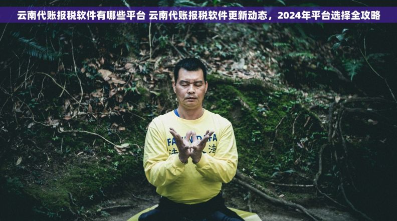 云南代账报税软件有哪些平台 云南代账报税软件更新动态，2024年平台选择全攻略