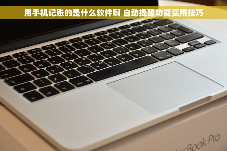 用手机记账的是什么软件啊 自动提醒功能实用技巧