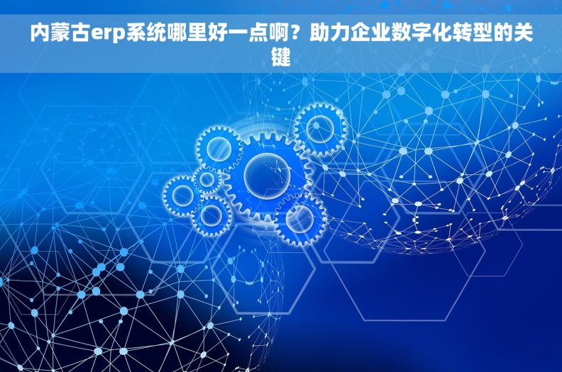 内蒙古erp系统哪里好一点啊？助力企业数字化转型的关键
