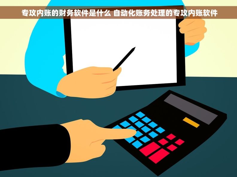  专攻内账的财务软件是什么 自动化账务处理的专攻内账软件