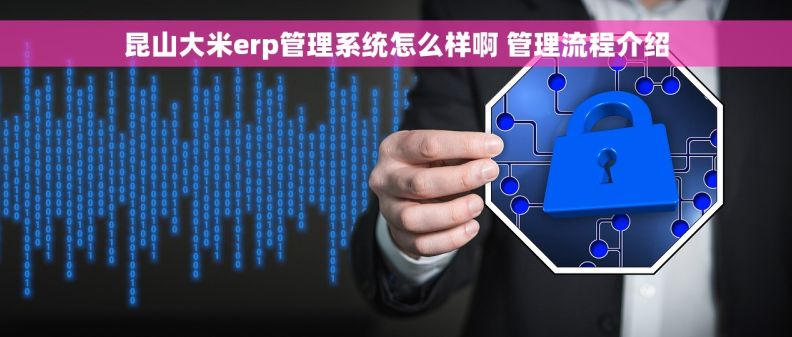 昆山大米erp管理系统怎么样啊 管理流程介绍