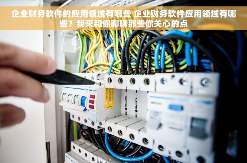 企业财务软件的应用领域有哪些 企业财务软件应用领域有哪些？我来和你聊聊那些你关心的点