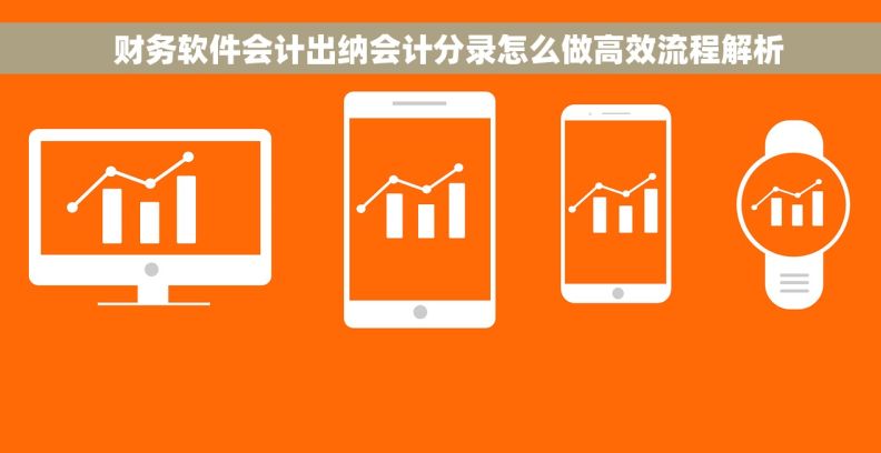   财务软件会计出纳会计分录怎么做高效流程解析