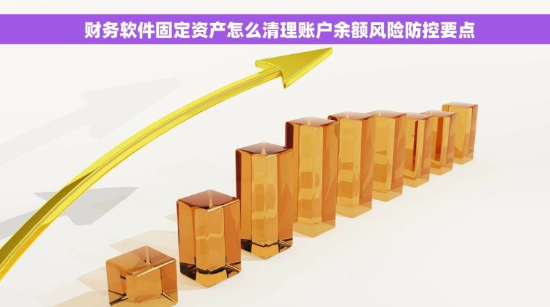   财务软件固定资产怎么清理账户余额风险防控要点