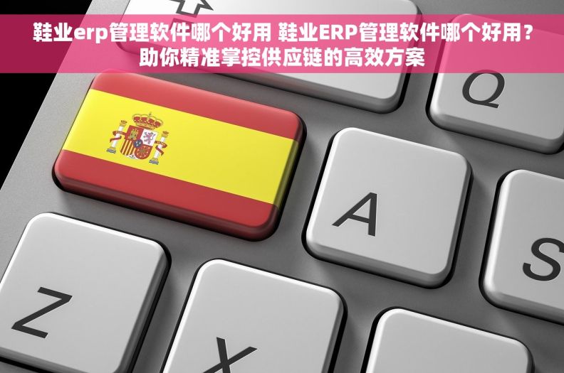 鞋业erp管理软件哪个好用 鞋业ERP管理软件哪个好用？助你精准掌控供应链的高效方案