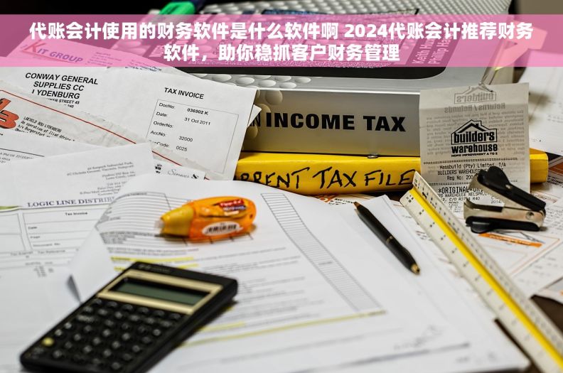 代账会计使用的财务软件是什么软件啊 2024代账会计推荐财务软件，助你稳抓客户财务管理