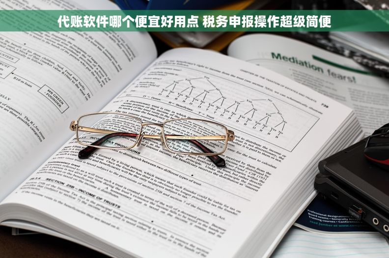 代账软件哪个便宜好用点 税务申报操作超级简便